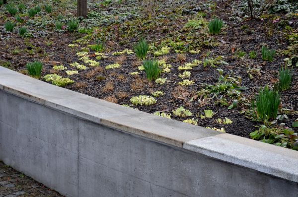 Cost of Concrete Wall Construction in Matthews