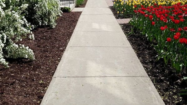 Cost of Sidewalk Slab Replacement in Matthews