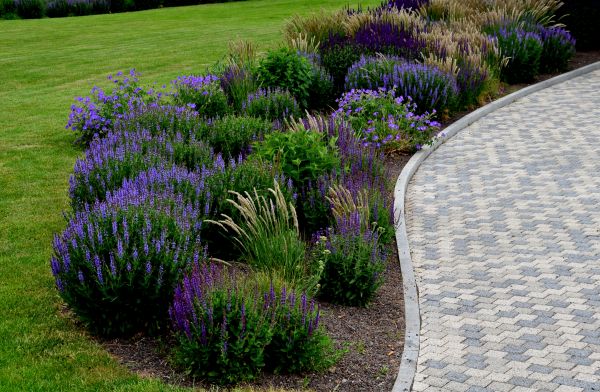 Cost of Sidewalk Curb Installation in Matthews